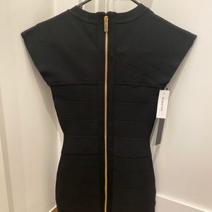 Brand new Ten by Babaton Dress